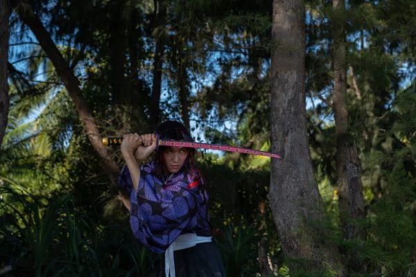 Demon Slayer Katana Kokushibo Kyokoku Wooden Sword