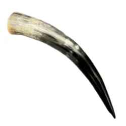 Nordic Viking Drinking Horn with Display Stand