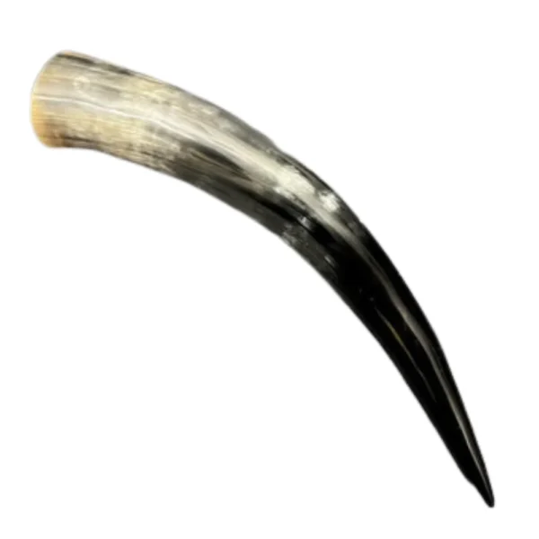 Nordic Viking Drinking Horn with Display Stand