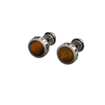 Tiger Eye Viking Rune Stainless Steel Stud Earrings