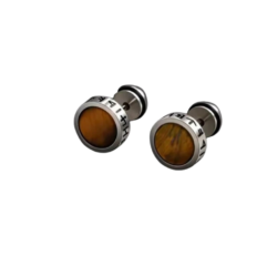 Tiger Eye Viking Rune Stainless Steel Stud Earrings